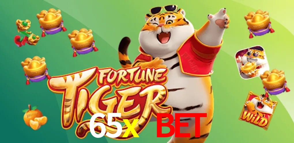 Game Statistics 65x bet